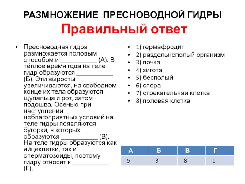 Кракен ссылка 25